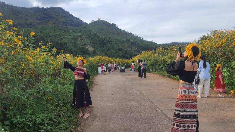 Ngất ng&acirc;y với triệu đ&oacute;a D&atilde; Quỳ tr&ecirc;n đỉnh Chư Đăng Ya - Ảnh 8.