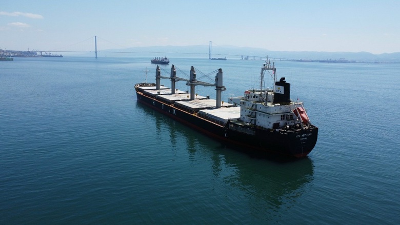 T&agrave;u biển Việt Nam đăng k&yacute; mang cờ nước ngo&agrave;i hầu hết l&agrave; t&agrave;u gi&agrave; - Ảnh 1.