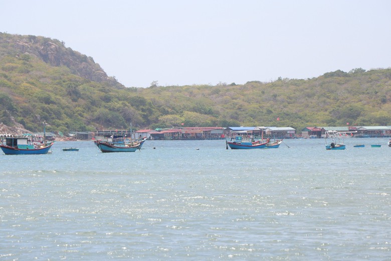 Ninh Thuận: Ngang nhi&ecirc;n chiếm đường giao th&ocirc;ng, l&agrave;m nơi bu&ocirc;n b&aacute;n ở vịnh Vĩnh Hy - Ảnh 3.