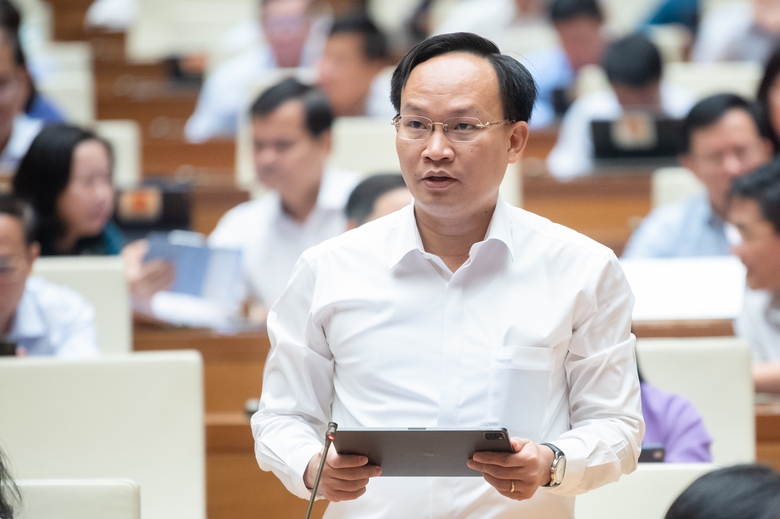 Đại biểu Quốc hội: Cần đầu tư ngay một số hệ thống đường sắt tiềm năng  - Ảnh 1.