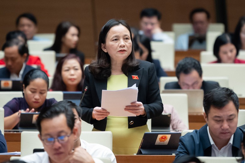 ĐBQH: C&ograve;n t&igrave;nh trạng người đứng đầu cho cấp ph&oacute; tiếp c&ocirc;ng d&acirc;n, đại biểu chỉ chuyển đơn - Ảnh 1.