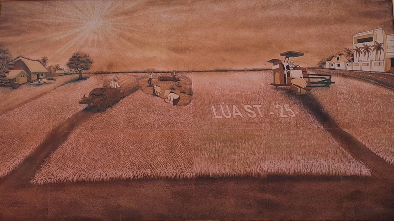 X&aacute;c lập kỷ lục Việt Nam &ldquo;Bức tranh lớn nhất Việt Nam được l&agrave;m từ gạo ST&rdquo; - Ảnh 1.