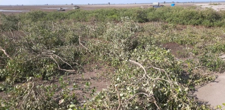 Xử phạt hơn 300 triệu đồng một cá nhân hút cát tại Vườn Quốc gia Xuân Thủy - Ảnh 1. Xử phạt hơn 300 triệu đồng một cá nhân hút cát tại Vườn Quốc gia Xuân Thủy - Ảnh 1.