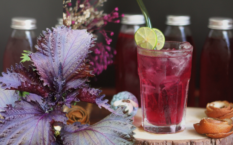 Vì sao gỏi cá, bún ốc lại nên ăn cùng lá tía tô? - Ảnh 2. Vì sao gỏi cá, bún ốc lại nên ăn cùng lá tía tô? - Ảnh 2.