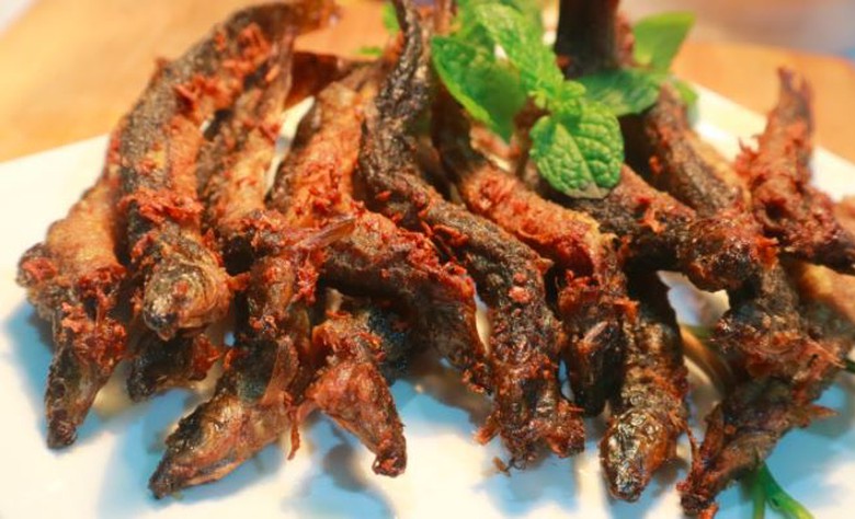 Lo&agrave;i c&aacute; quen thuộc lại l&agrave; "nh&acirc;n s&acirc;m dưới nước", m&oacute;n ăn cực tốt cho nam giới - Ảnh 4.