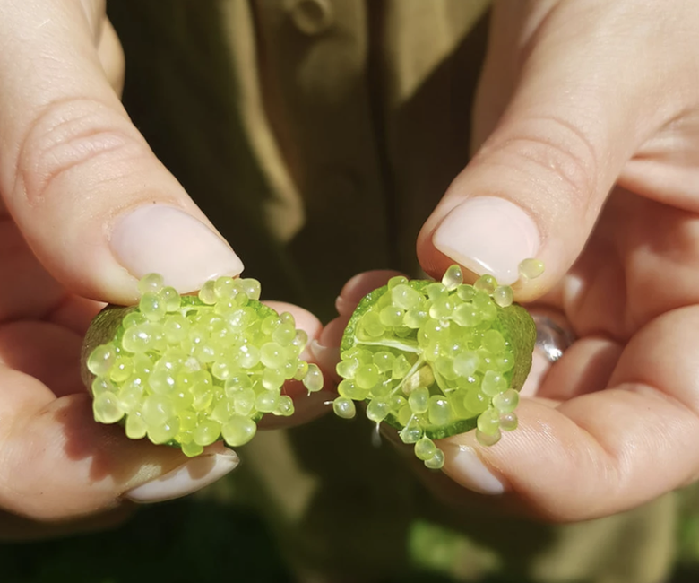 Loại quả mệnh danh "trứng c&aacute; caviar" giới nh&agrave; gi&agrave;u săn l&ugrave;ng, gần nửa chỉ v&agrave;ng/kg - Ảnh 2.