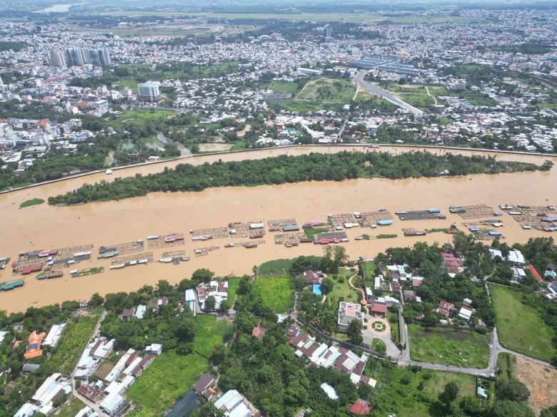 B&agrave;n giao mặt bằng tr&ecirc;n s&ocirc;ng C&aacute;i để thi c&ocirc;ng cầu Thống Nhất - Ảnh 1.
