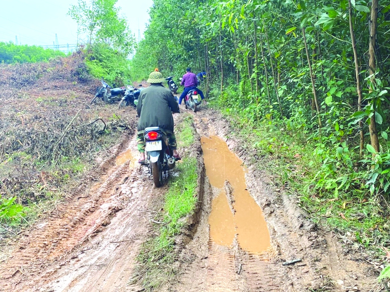 Quảng Ninh: D&acirc;n t&aacute; hỏa v&igrave; đất rừng sau 20 năm về tay chủ lạ - Ảnh 1.