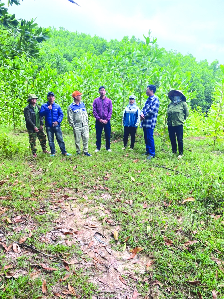 Quảng Ninh: D&acirc;n t&aacute; hỏa v&igrave; đất rừng sau 20 năm về tay chủ lạ - Ảnh 2.