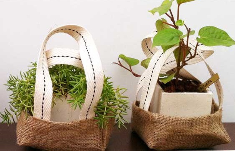 Người xưa dặn "đừng tặng 3 loại c&acirc;y cảnh n&agrave;y kẻo biến bạn th&agrave;nh th&ugrave;", v&igrave; sao vậy? - Ảnh 1.