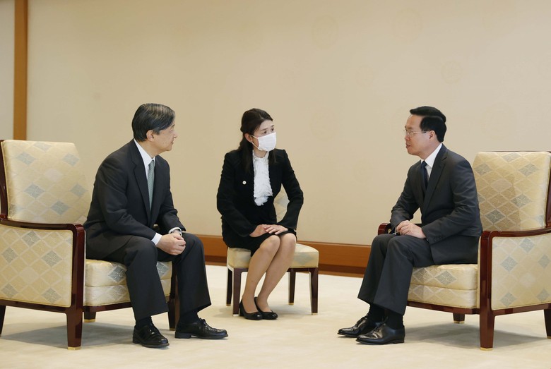 Chủ tịch nước hội kiến Nh&agrave; vua Nhật Bản Naruhito - Ảnh 1.