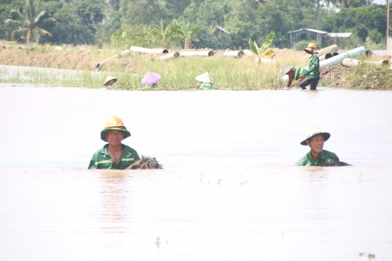 Cao tốc Cần Thơ- C&agrave; Mau: 3 tỉnh "mở cửa" cung cấp c&aacute;t, nhưng vẫn c&ograve;n nhiều nỗi lo - Ảnh 2.