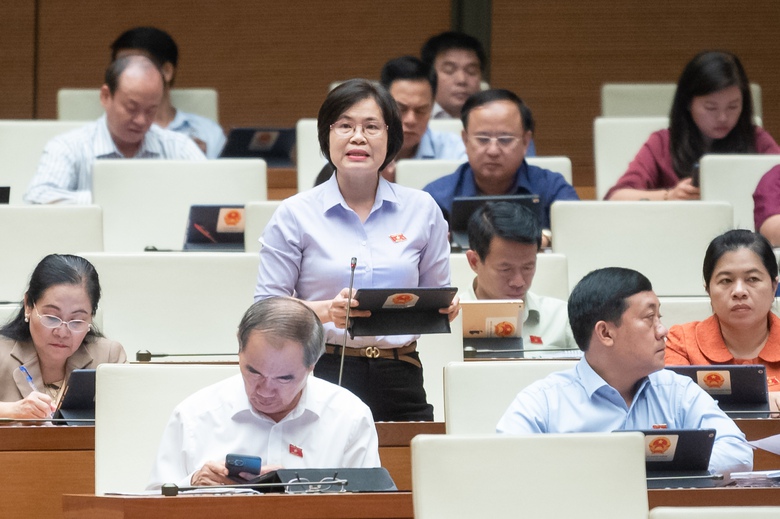 Tr&igrave;nh Quốc hội 2 phương &aacute;n cấp sổ đỏ cho đất kh&ocirc;ng c&oacute; giấy tờ - Ảnh 2.