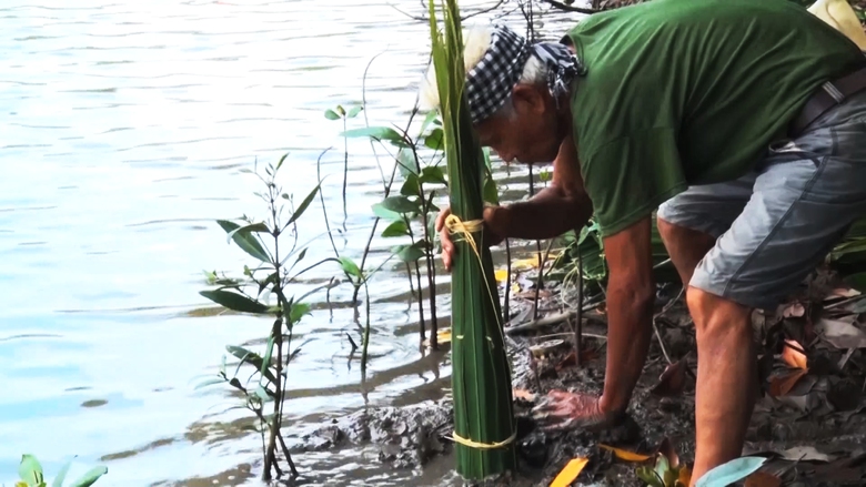 Lội bộ xuyên rừng săn loài cá “kỳ lạ” ở Cà Mau - Ảnh 3. Lội bộ xuyên rừng săn loài cá “kỳ lạ” ở Cà Mau - Ảnh 3.