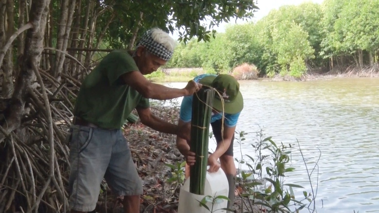 Lội bộ xuyên rừng săn loài cá “kỳ lạ” ở Cà Mau - Ảnh 8. Lội bộ xuyên rừng săn loài cá “kỳ lạ” ở Cà Mau - Ảnh 8.