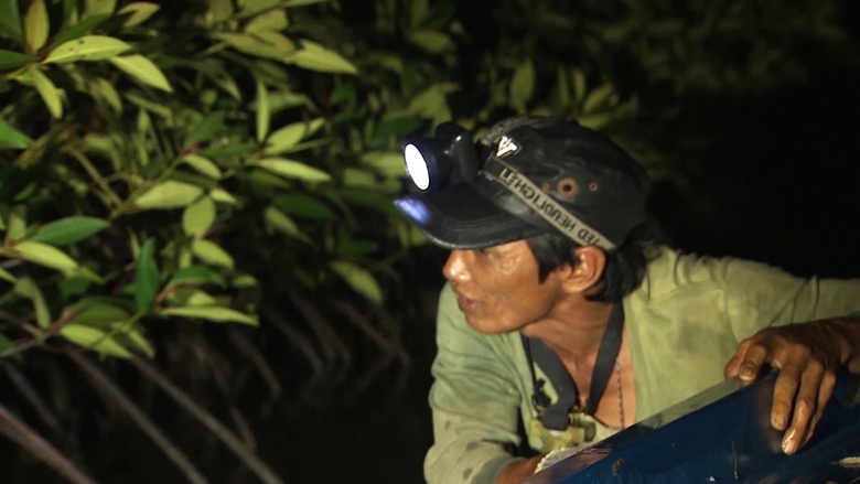 Lội bộ xuyên rừng săn loài cá “kỳ lạ” ở Cà Mau - Ảnh 6. Lội bộ xuyên rừng săn loài cá “kỳ lạ” ở Cà Mau - Ảnh 6.