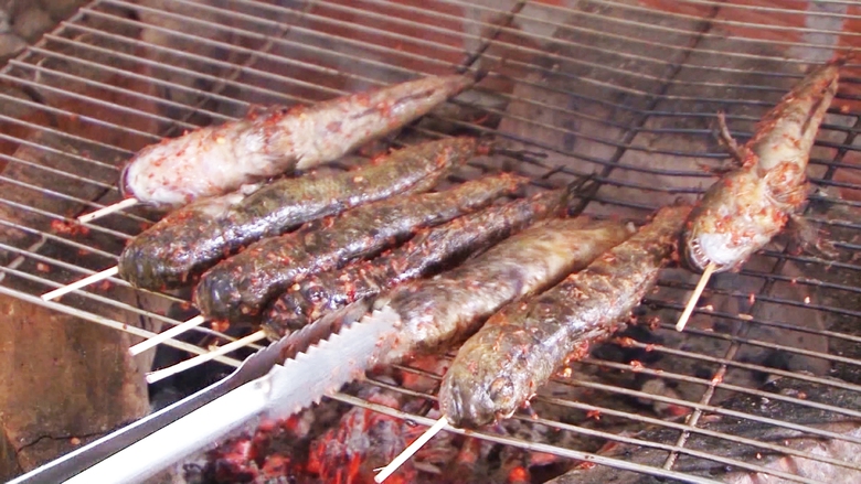 Lội bộ xuyên rừng săn loài cá “kỳ lạ” ở Cà Mau - Ảnh 10. Lội bộ xuyên rừng săn loài cá “kỳ lạ” ở Cà Mau - Ảnh 10.