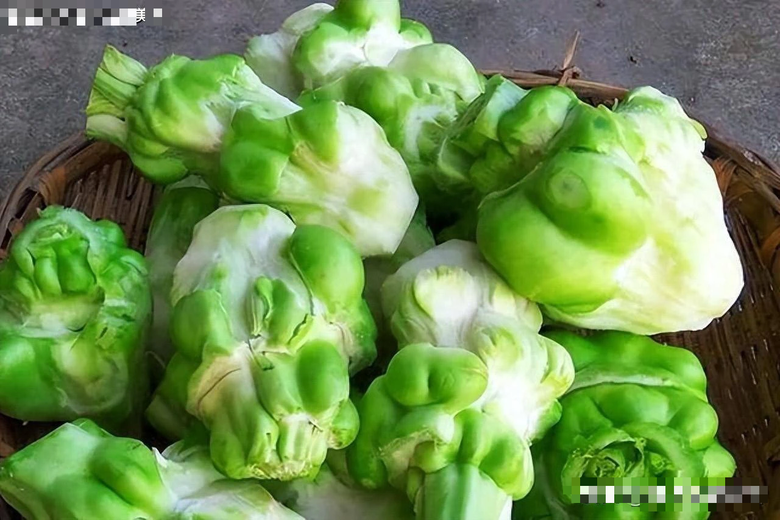 Loại rau "vua nhuận tr&agrave;ng", ăn nhiều giải độc, sạch ruột, to&agrave;n th&acirc;n bay bổng, x&agrave;o hay trộn đều ngon - Ảnh 1.