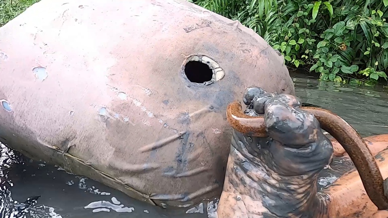 Người đ&agrave;n &ocirc;ng ở C&agrave; Mau c&oacute; biệt t&agrave;i bắt lịch bằng ch&acirc;n - Ảnh 5.