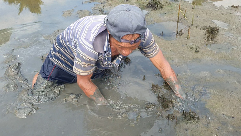 Người đ&agrave;n &ocirc;ng ở C&agrave; Mau c&oacute; biệt t&agrave;i bắt lịch bằng ch&acirc;n - Ảnh 2.