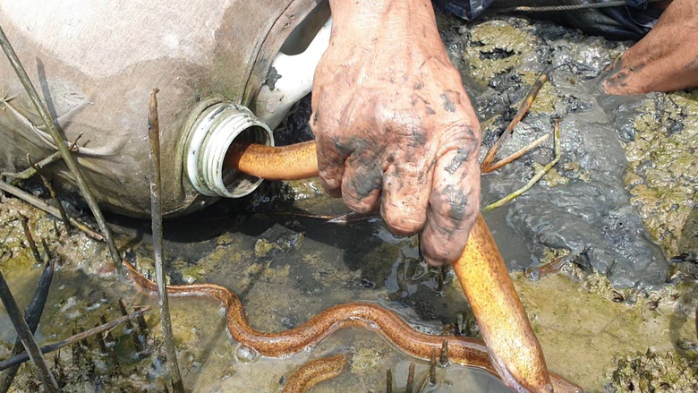 Người đ&agrave;n &ocirc;ng ở C&agrave; Mau c&oacute; biệt t&agrave;i bắt lịch bằng ch&acirc;n - Ảnh 7.