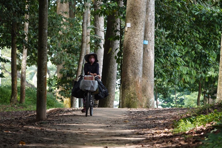 Lễ hội lớn nhất Trà Vinh sắp được tổ chức - Ảnh 5. Lễ hội lớn nhất Trà Vinh sắp được tổ chức - Ảnh 5.