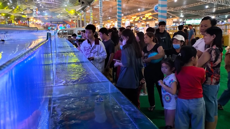 Tăng cường li&ecirc;n kết hợp t&aacute;c ph&aacute;t triển du lịch TP.HCM v&agrave; 13 tỉnh, th&agrave;nh ĐBSCL - Ảnh 3.