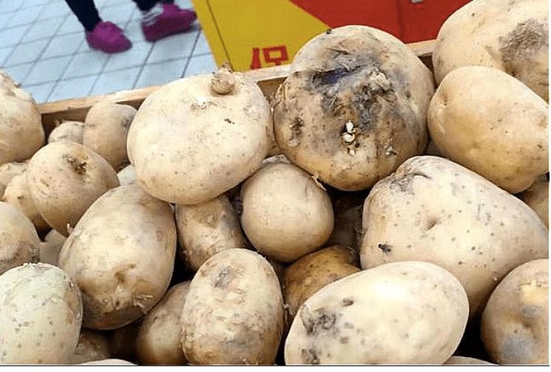 5 loại rau củ rẻ đến mấy cũng kh&ocirc;ng mua - Ảnh 2.