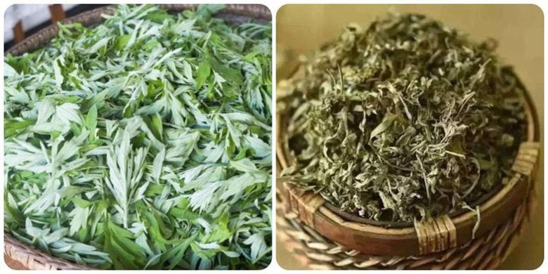 Loại rau mọc dại ở c&aacute;c g&oacute;c vườn, ra chợ mua cũng rẻ như cho, được coi l&agrave; 'thần dược' với phụ nữ - Ảnh 1.