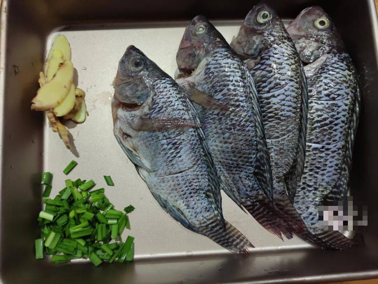 Loại c&aacute; hoang d&atilde;, hương vị cực thơm ngon, bổ xương, dưỡng n&atilde;o, chế biến đơn giản cũng ngon miệng - Ảnh 3.