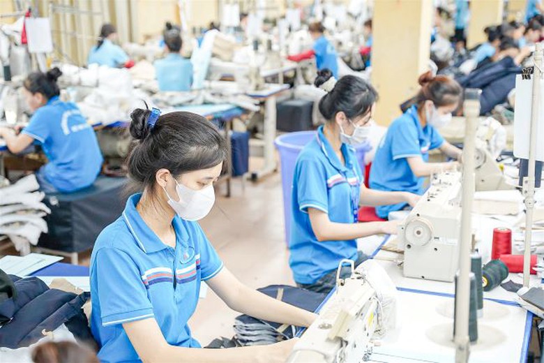 Một năm gian nan của ng&agrave;nh dệt may: Năm 2024 sẽ ra sao? - Ảnh 1.