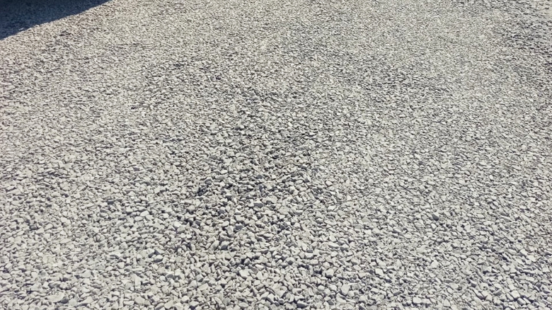 Niềm vui của người dân khi tuyến đường đầy bụi ở Đồng Tháp được dặm vá - Ảnh 2. Niềm vui của người dân khi tuyến đường đầy bụi ở Đồng Tháp được dặm vá - Ảnh 2.