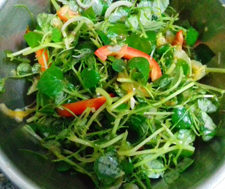 Loại rau mọc dại khe tường l&agrave; thuốc qu&yacute; chứa chất ngăn ngừa tế b&agrave;o ung thư  - Ảnh 9.