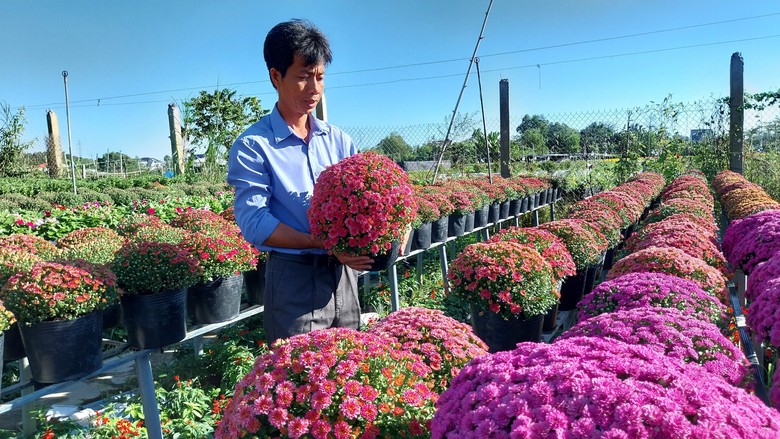 L&agrave;m mới m&igrave;nh, n&ocirc;ng d&acirc;n L&agrave;ng hoa Sa Đ&eacute;c trồng hoa kh&ocirc;ng đủ b&aacute;n - Ảnh 1.