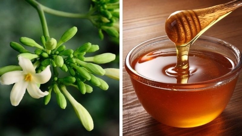 Hoa đu đủ đực ng&acirc;m mật ong, d&ugrave;ng theo c&aacute;ch n&agrave;y c&ograve;n tốt hơn thuốc bổ - Ảnh 3.