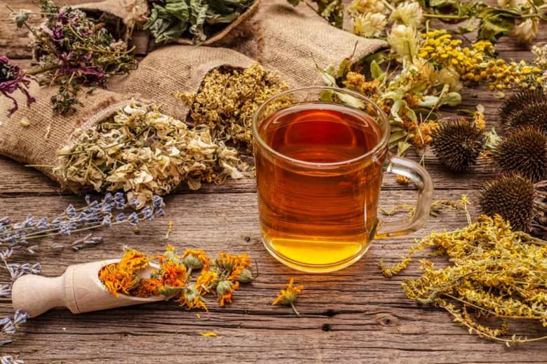 Loại hoa đem ng&acirc;m mật ong d&ugrave;ng tốt hơn thuốc bổ lại c&ograve;n chống vi&ecirc;m - Ảnh 2.