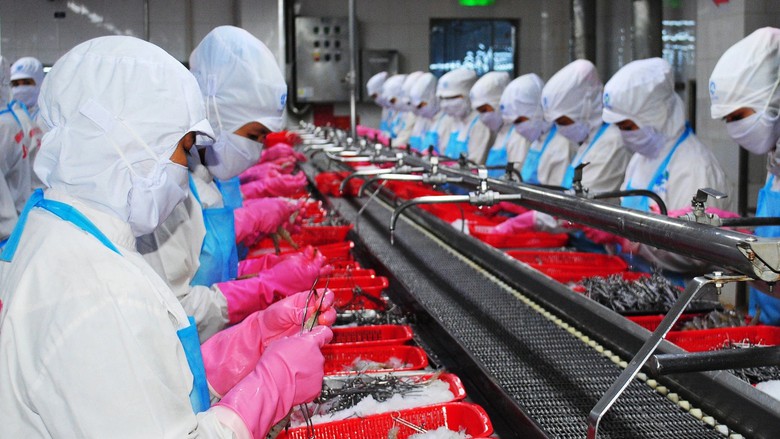 Nhận diện kh&oacute; khăn, t&igrave;m giải ph&aacute;p đưa ng&agrave;nh h&agrave;ng t&ocirc;m C&agrave; Mau vươn xa - Ảnh 1.