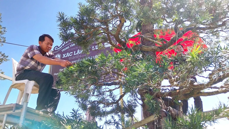 Chuyện của &ocirc;ng Lộc - Ảnh 1.