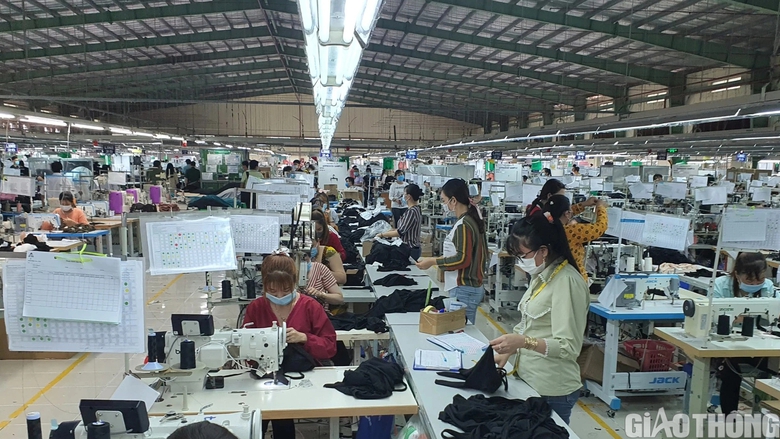 Bạc Li&ecirc;u: Thưởng tết Nguy&ecirc;n đ&aacute;n 2024 cao nhất 50,3 triệu đồng - Ảnh 1.