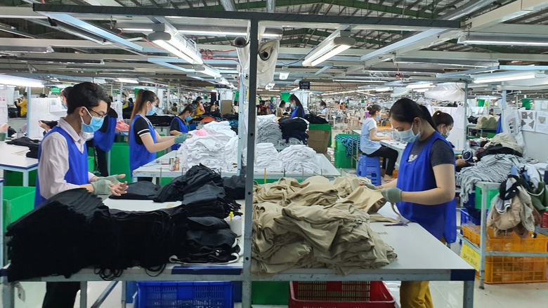 C&agrave; Mau: Thưởng tết Nguy&ecirc;n đ&aacute;n 2024 cao nhất 200 triệu đồng - Ảnh 1.