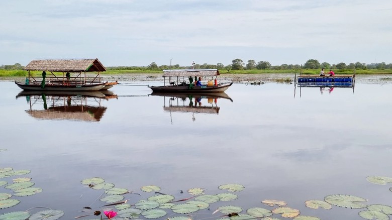 Về Đồng Th&aacute;p đi đ&acirc;u, l&agrave;m g&igrave; trong dịp Tết Dương lịch? - Ảnh 2.