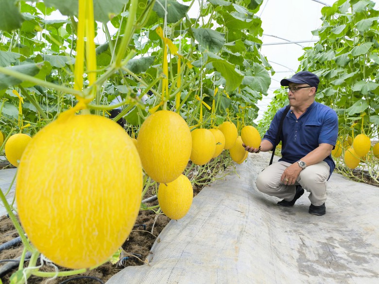 Hậu Giang hướng đến du lịch n&ocirc;ng nghiệp - Ảnh 3.