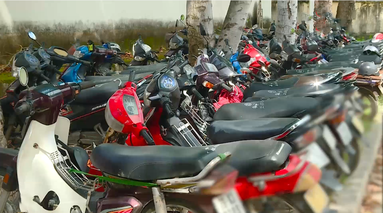 Triệt ph&aacute; trường g&agrave; ở ở Kh&aacute;nh H&ograve;a, tạm giữ gần 50 &ocirc; t&ocirc;, xe m&aacute;y- Ảnh 1.