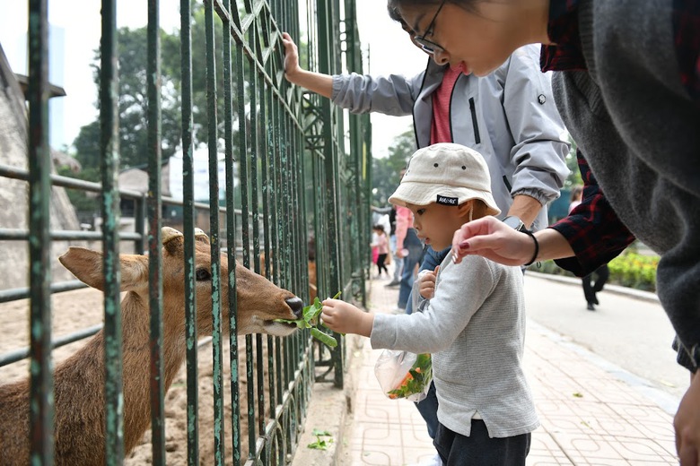 Người d&acirc;n dựng lều, trải bạt, đổ x&ocirc; về c&aacute;c c&ocirc;ng vi&ecirc;n ở H&agrave; Nội dịp nghỉ tết - Ảnh 5.