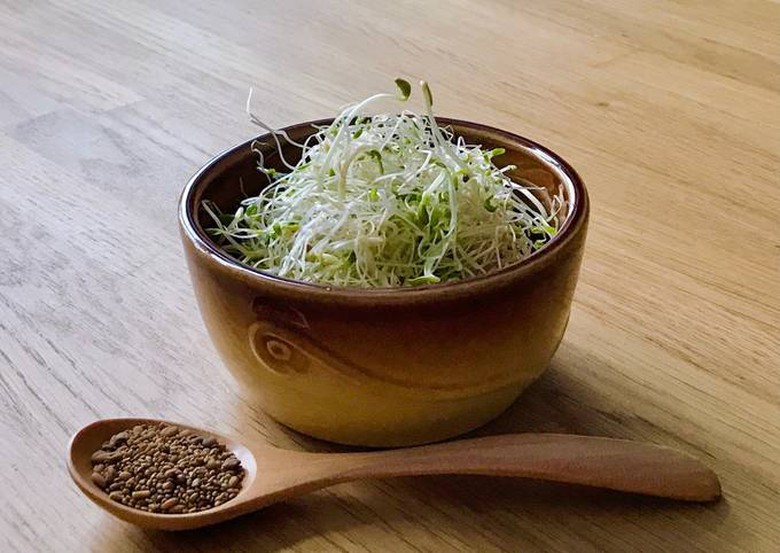 Loại cỏ dại l&agrave; vị thuốc qu&yacute; ngừa ung thư, hương vị ngon lạ - Ảnh 7.