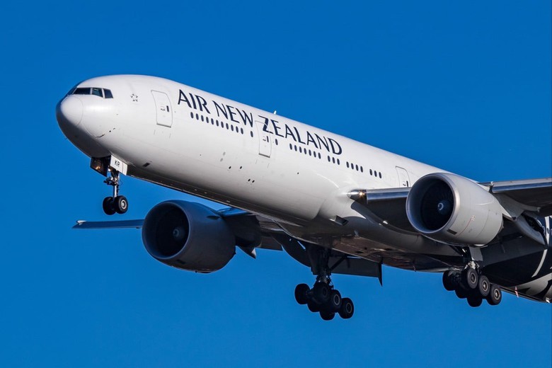 H&atilde;ng h&agrave;ng kh&ocirc;ng Zealand sẽ vận h&agrave;nh m&aacute;y bay điện từ năm 2026 - Ảnh 1.