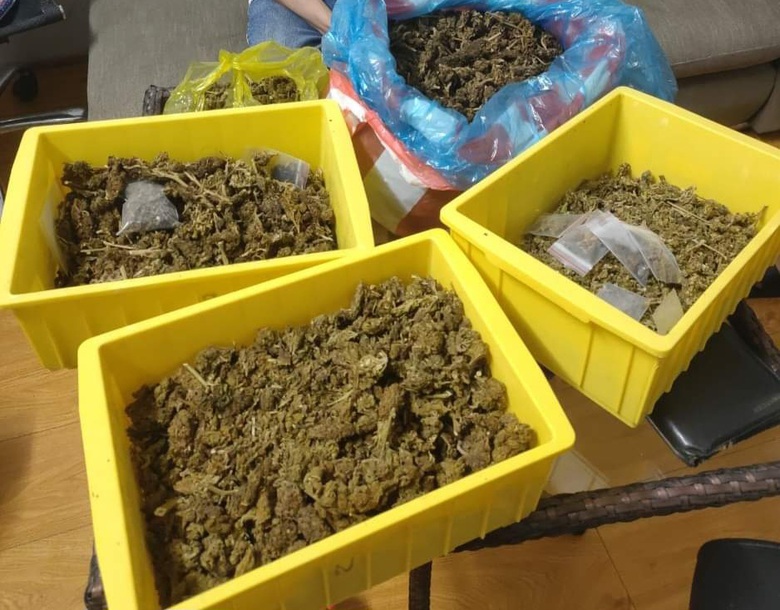 Chủ quán mua cần sa về dùng và bán lại cho khách kiếm lời - Ảnh 1. Chủ quán mua cần sa về dùng và bán lại cho khách kiếm lời - Ảnh 1.