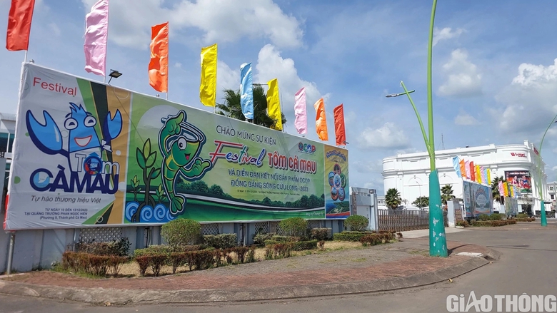 Đường phố rực rỡ trước thềm Festival t&ocirc;m C&agrave; Mau 2023 - Ảnh 2.