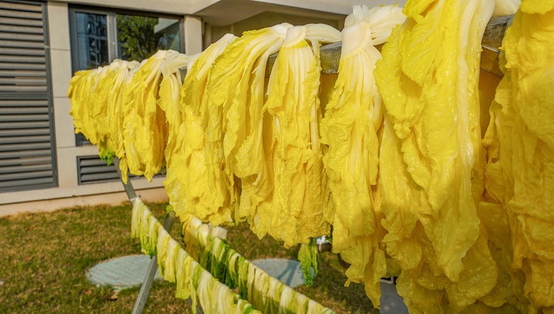  Loại rau cần ăn mạnh v&agrave;o m&ugrave;a đ&ocirc;ng, 1 nhuận tr&agrave;ng, 2 dưỡng da, 3 thải độc, phơi kh&ocirc; hầm si&ecirc;u thơm - Ảnh 8.