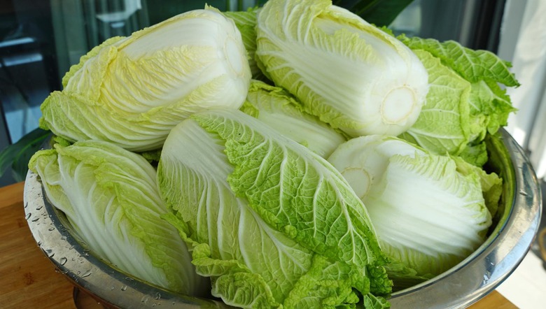  Loại rau cần ăn mạnh v&agrave;o m&ugrave;a đ&ocirc;ng, 1 nhuận tr&agrave;ng, 2 dưỡng da, 3 thải độc, phơi kh&ocirc; hầm si&ecirc;u thơm - Ảnh 1.